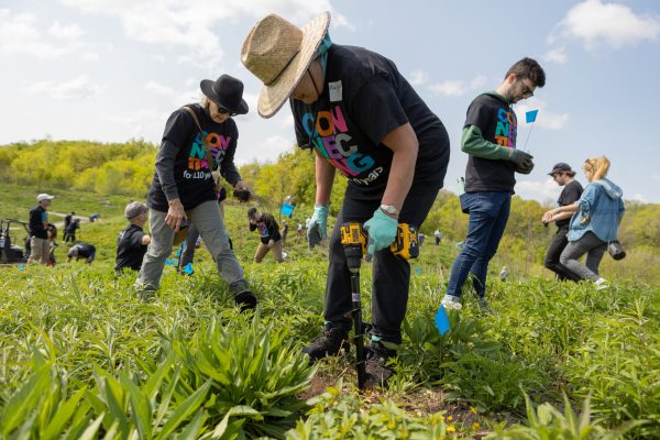 Members of the Rotary Club of Milwaukee, Wisconsin, USA, and other volunteers plant prairie grasses along the Milwaukee River. The club spearheaded an initiative to transform industrial land along the river into an arboretum. Members of the club have been active in habitat restoration efforts since the park opened in 2013. Milwaukee, Wisconsin, USA. 20 May 2023.